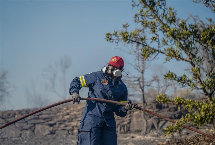 Μάχη κατά της φωτιάς στη Χάλκη Λάρισας με τη συμβολή του δήμου Κιλελέρ